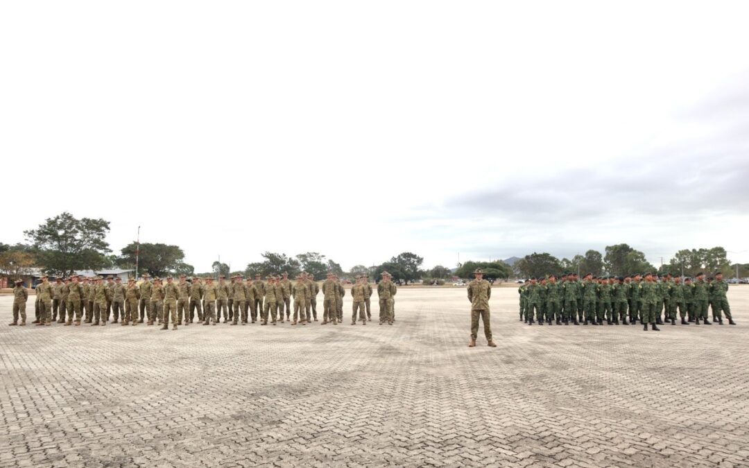 COMMENCEMENT OF EXERCISE MALLEE BULL