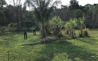 SUPPORT BATTALION ROYAL BRUNEI LAND FORCES CONDUCT COMMUNITY SERVICE IN CONJUNCTION WITH THE 58TH ANNIVERSARY OF THE ROYAL BRUNEI LAND FORCES
