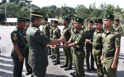 PENYAMPAIAN PINGAT LAILA TUGAS